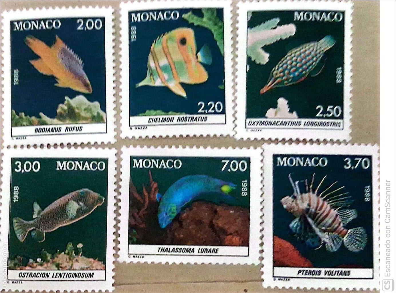 Sellos: M&oacute;naco. 1615/20 Fauna. Peces del Museo oceanogr&aacute;fico. 1988. Sellos nuevos y numeraci&oacute;n Yvert.