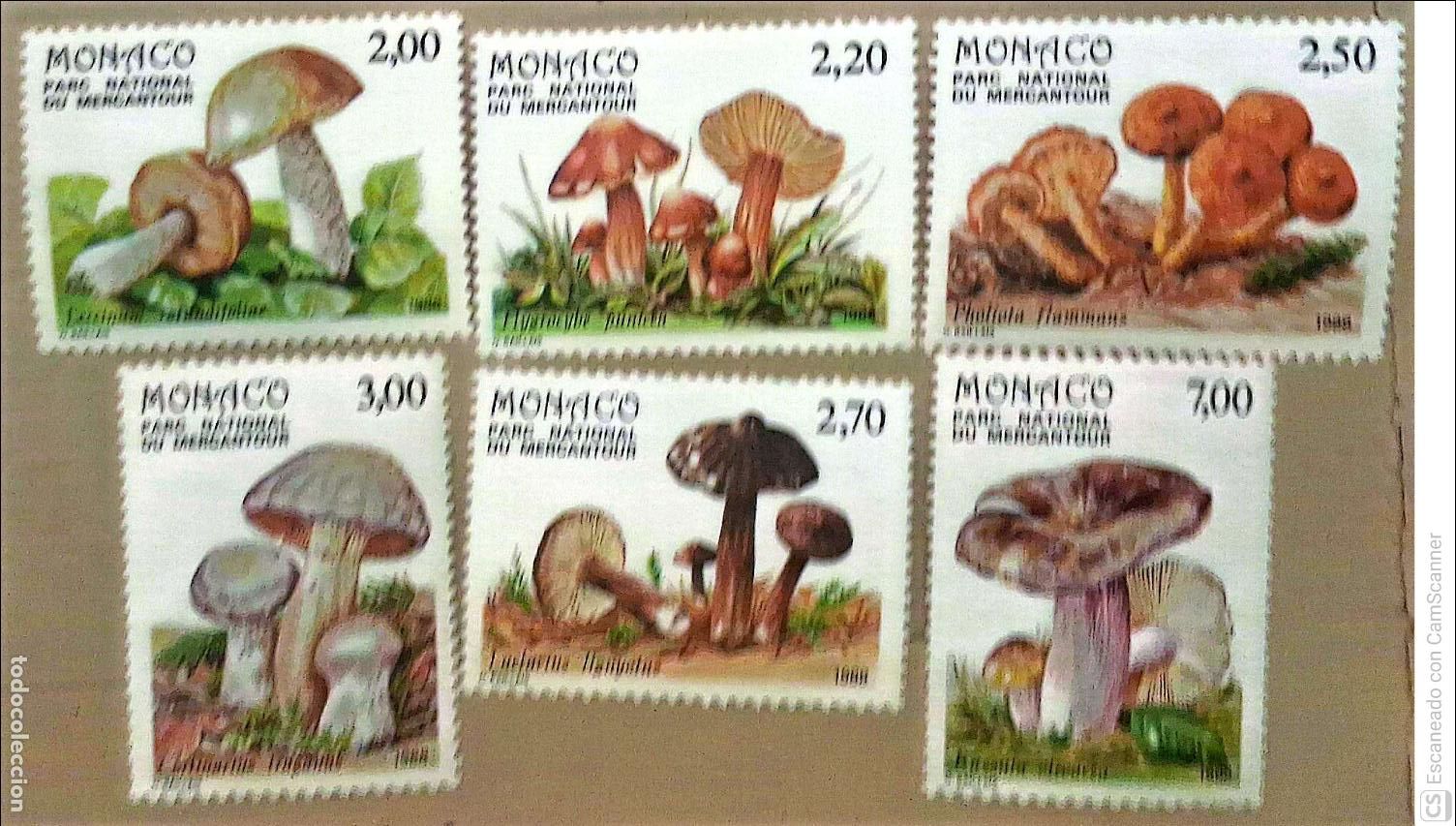 Sellos: M&oacute;naco. 1628/33 Champi&ntilde;ones. 1988. Sellos nuevos y numeraci&oacute;n Yvert.