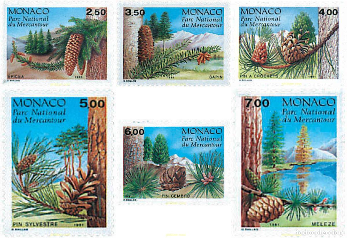 Sellos: 78888 MNH MONACO 1991 CONIFERAS DEL PARQUE DE MERCANTOUR