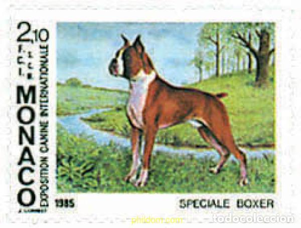 Sellos: 51026 MNH MONACO 1985 EXPOSICION CANINA INTERNACIONAL