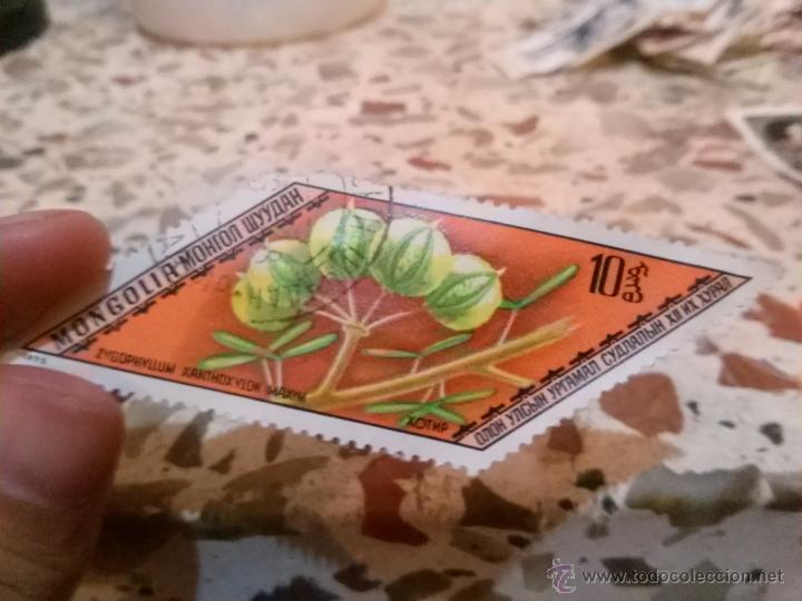 Sellos: Sello mongolia Zygophyllum xanthoxylon 10 mongo - Foto 1