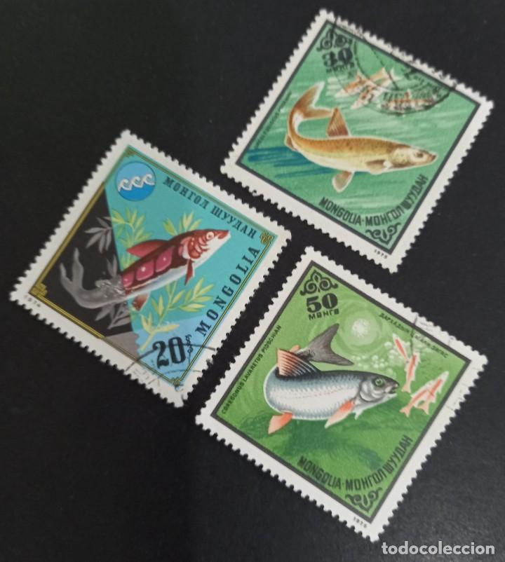 Sellos: MONGOLIA 1975 PECES 3 VALORES / USADOS - Foto 1