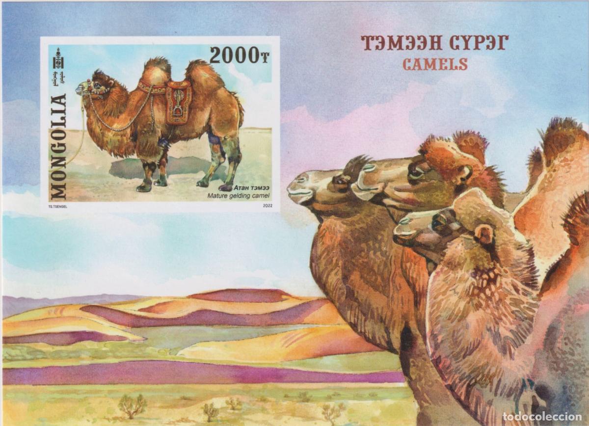 Sellos: Mongolia 2022 Camels - Foto 1