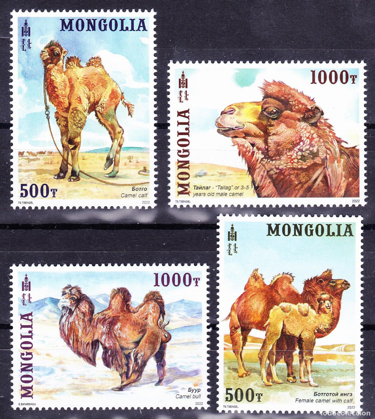Sellos: Mongolia 2022 Camels - Foto 1
