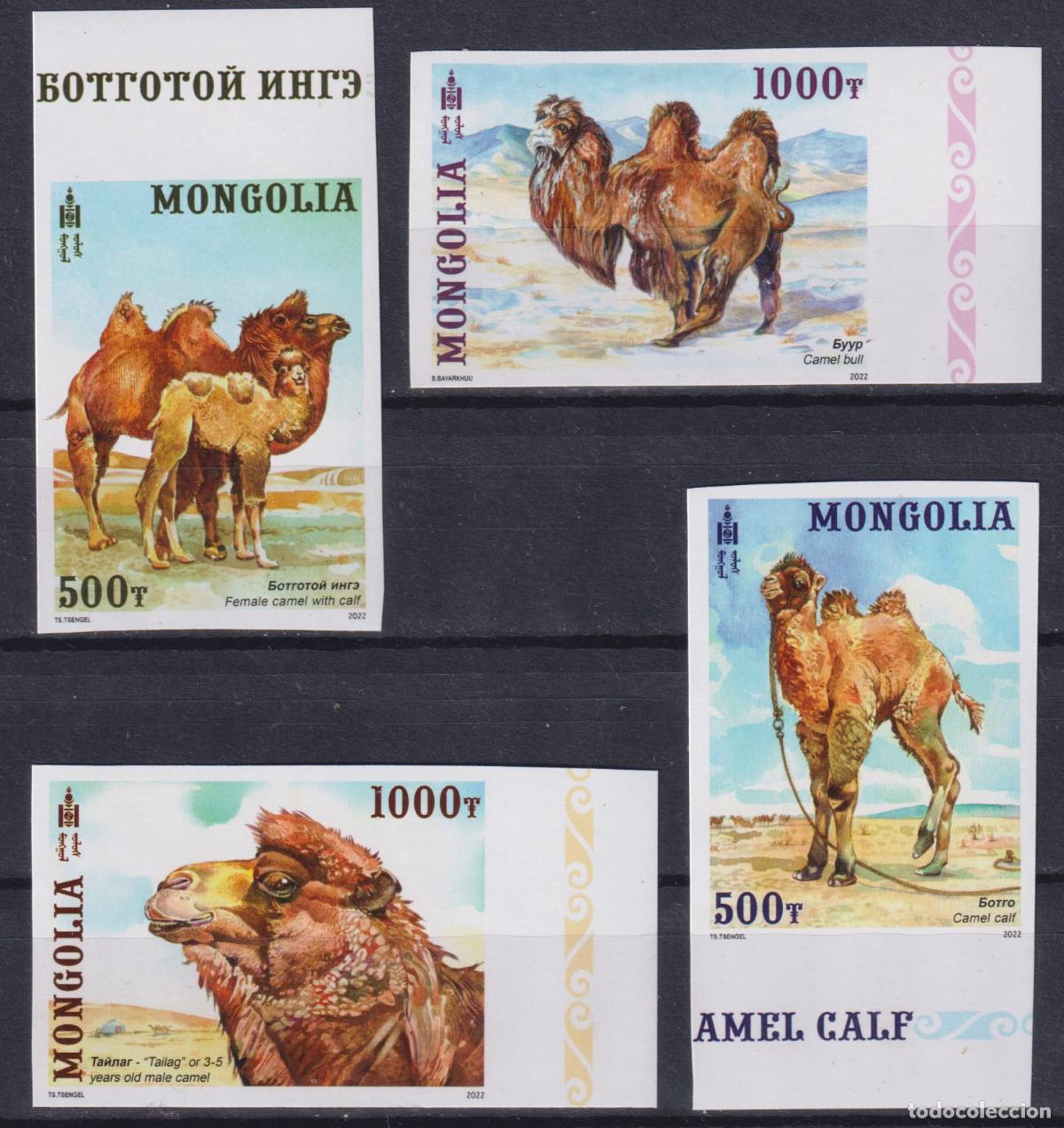 Sellos: Mongolia 2022 camellos camellos MNH - Foto 1