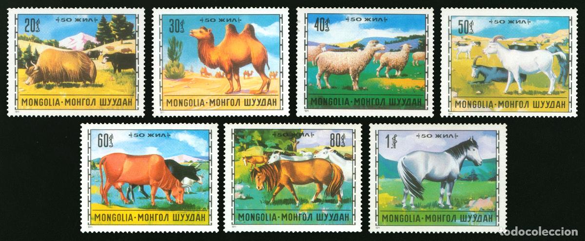 Sellos: Mongolia 1971 Ganado vacas MNH - Foto 1