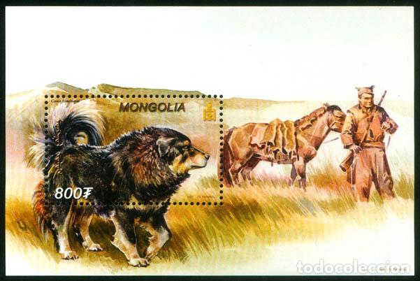Sellos: Mongolia 2002 perros mongoles Perros MNH - Foto 1