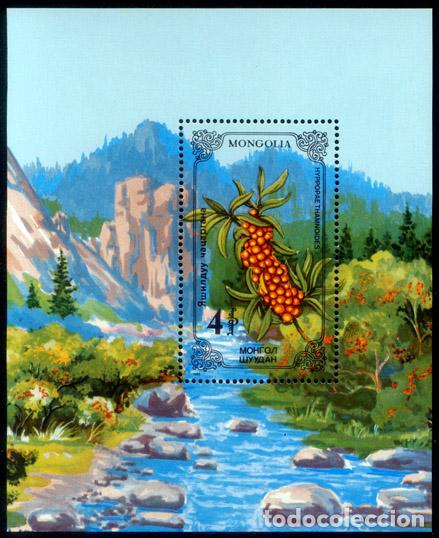 Sellos: Mongolia 1985 Hierbas medicinales Flora MNH - Foto 1