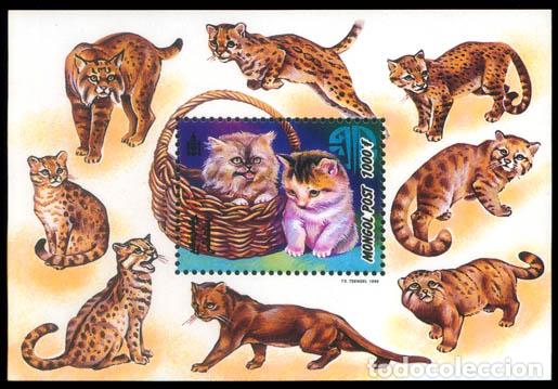Sellos: Mongolia 1998 gatos gatos MNH - Foto 1