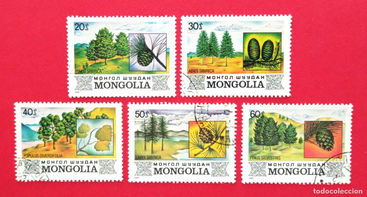 Sellos: SELLO MONGOLIA. &Aacute;RBOLES DE MONGOLIA (1982) - Foto 1
