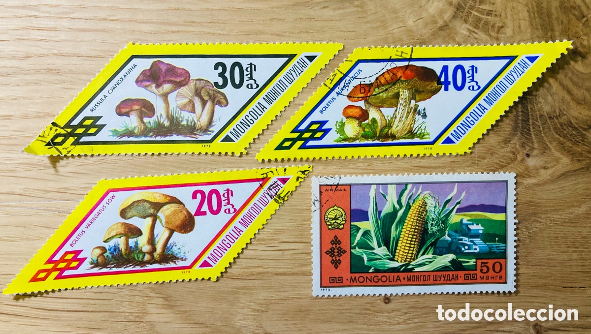 Sellos: Mongolia flora setas 1978 - Foto 1