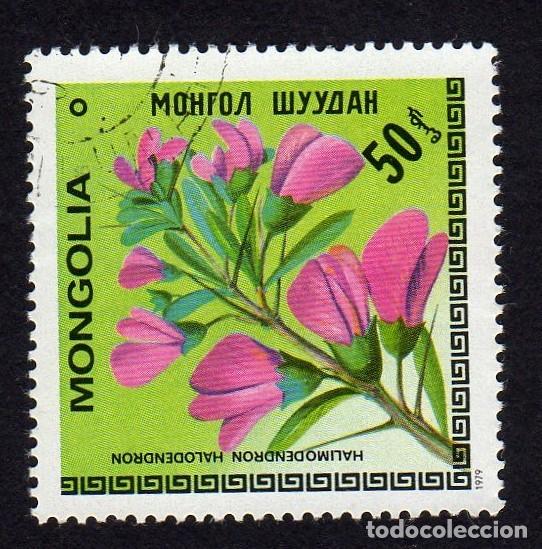 Sellos: Mongolia. Flores. Halimodendron.1979. YT-1007. - Foto 1