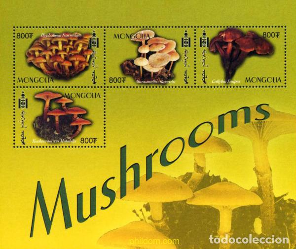 Sellos: 222790 MNH MONGOLIA 2003 SETAS - Foto 1
