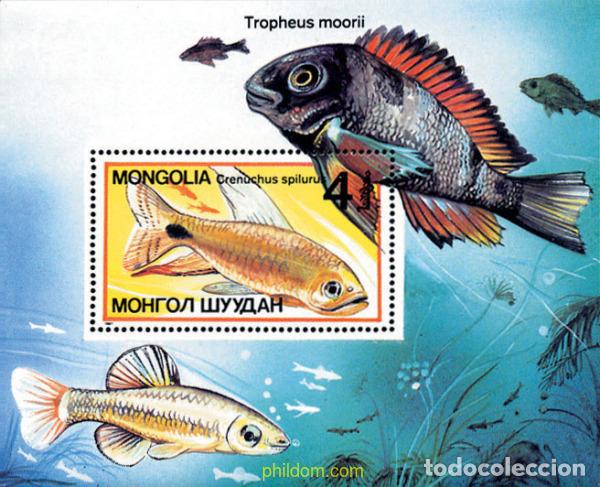 Sellos: 44511 MNH MONGOLIA 1987 PEZ