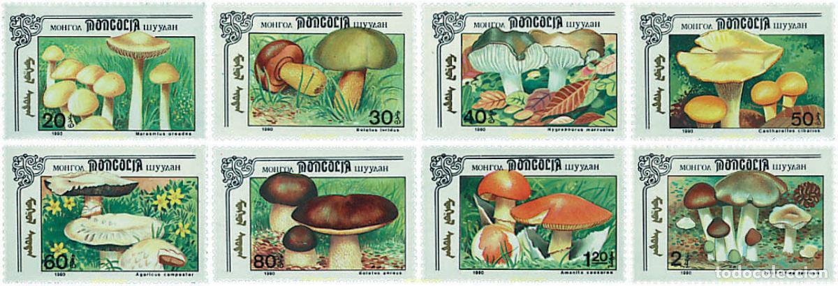 Selos: 35072 MNH MONGOLIA 1991 SETAS