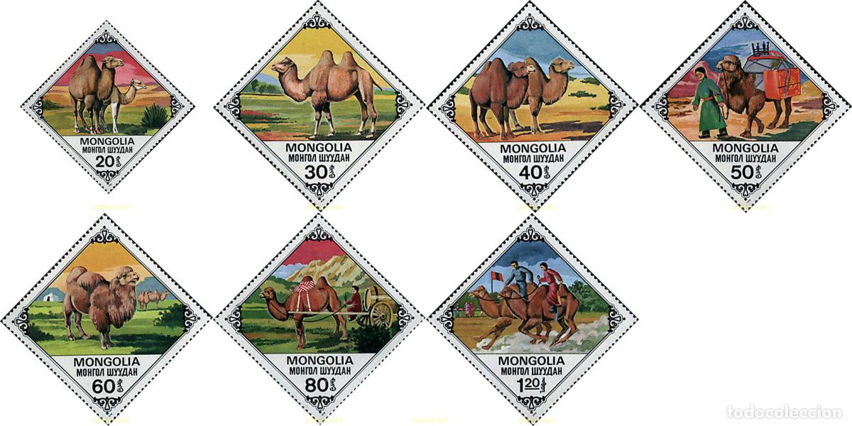 Sellos: 34586 MNH MONGOLIA 1978 CAMELLOS DE MONGOLIA.