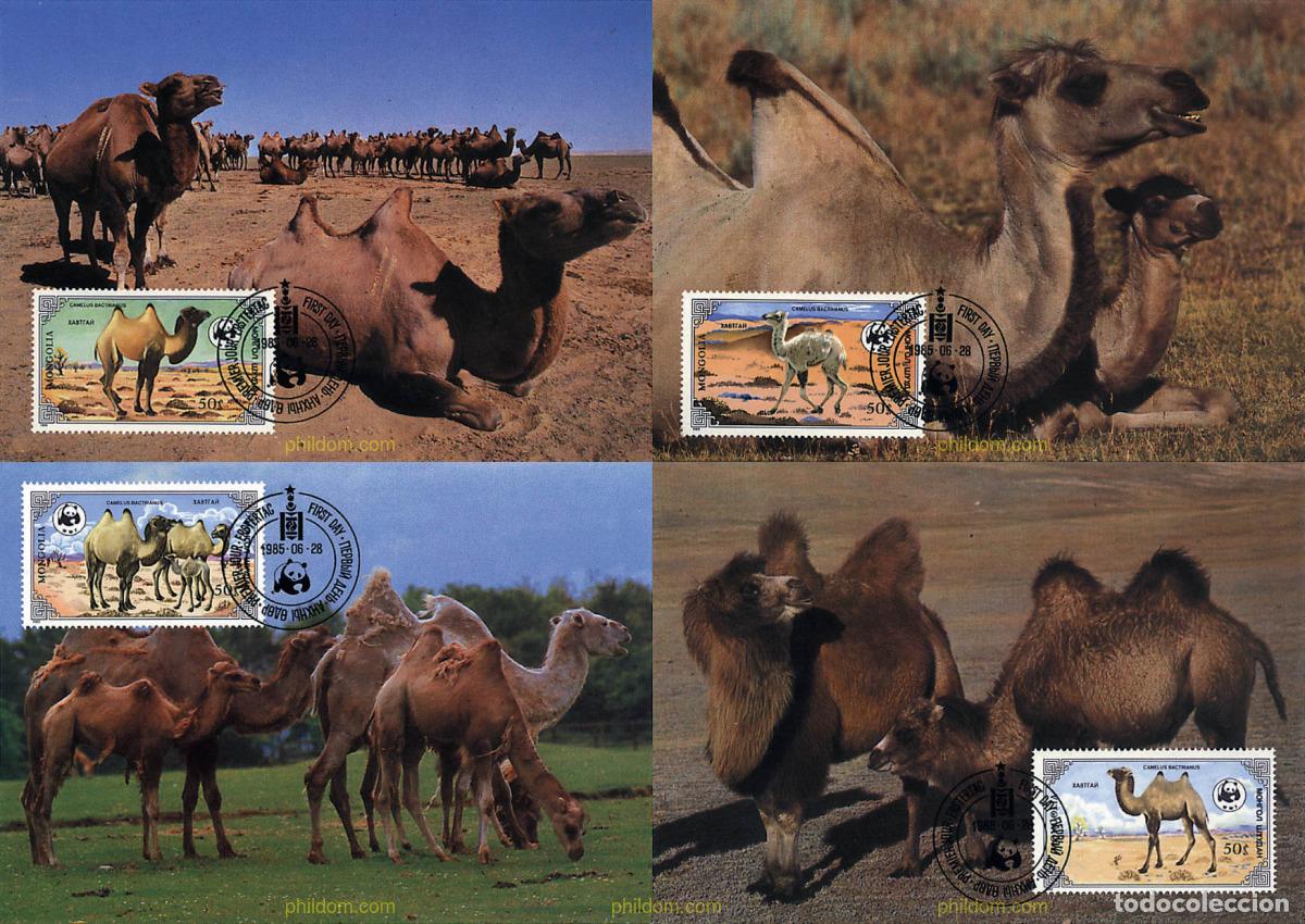 Sellos: 7313 MNH MONGOLIA 1985 CAMELLO BACTRIANO