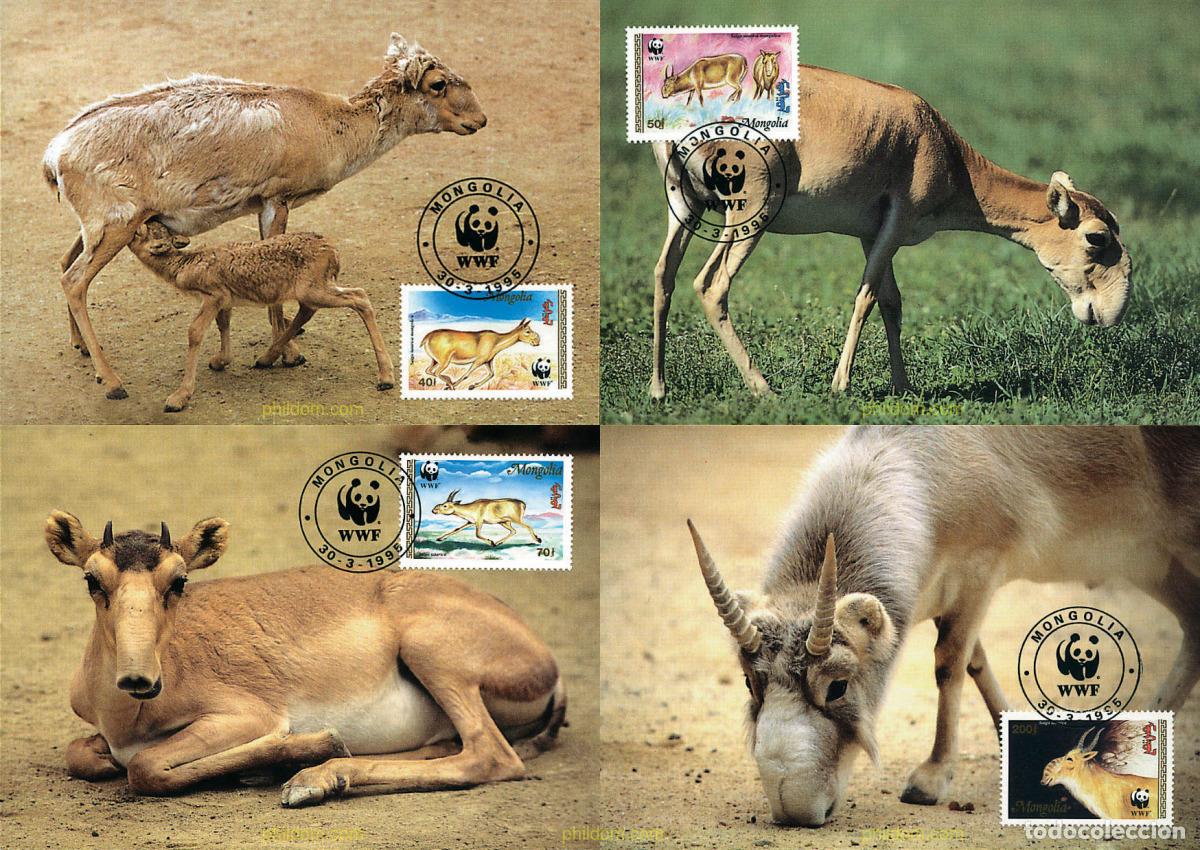 Sellos: 7503 MNH MONGOLIA 1995 PROTECCION DE LA NATURALEZA. ANTILOPE SAIGA