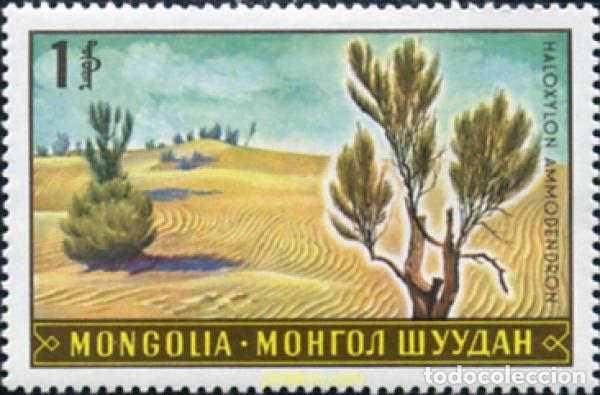 Sellos: 340358 MNH MONGOLIA 1969 FLORA Y PAISAJES