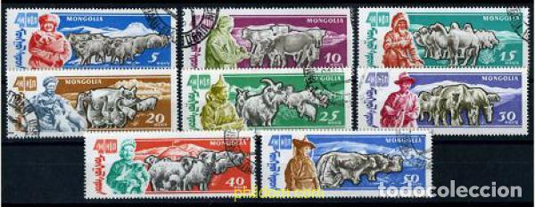Sellos: 207198 USED MONGOLIA 1961 GANADERIA