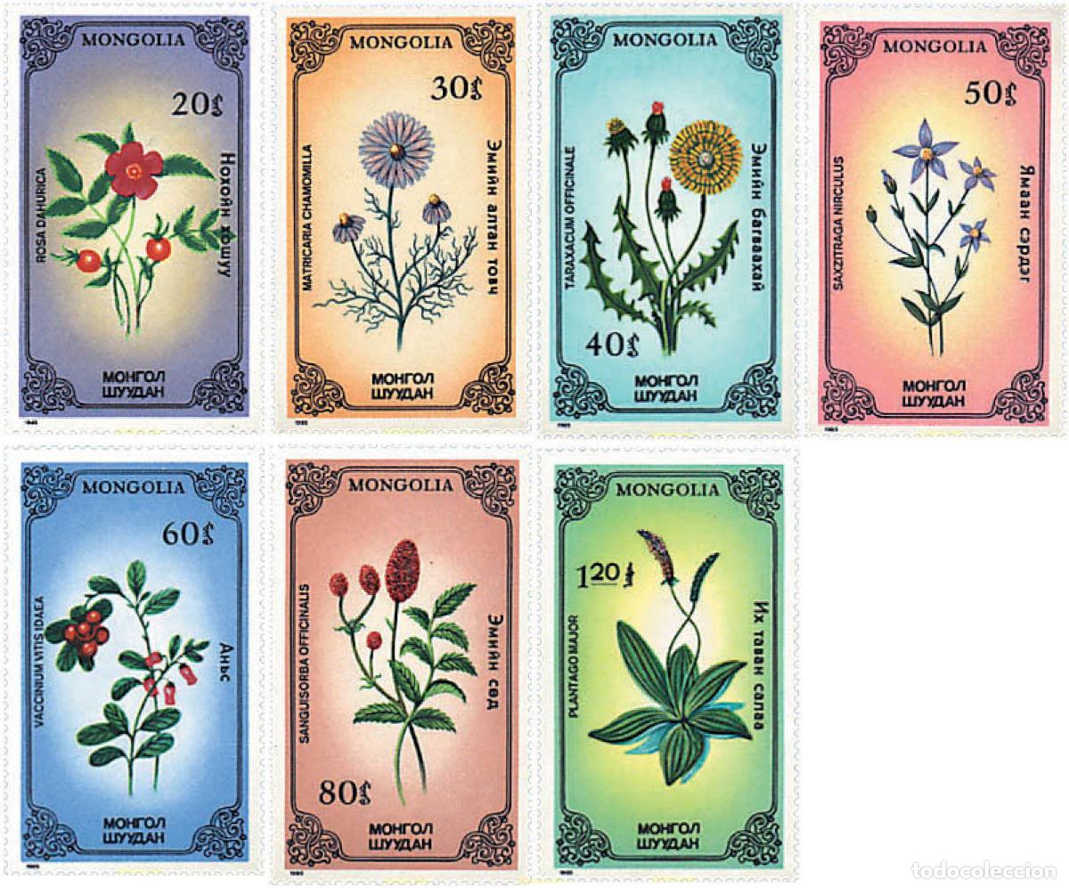 Sellos: 95332 MNH MONGOLIA 1985 PLANTAS MEDICINALES