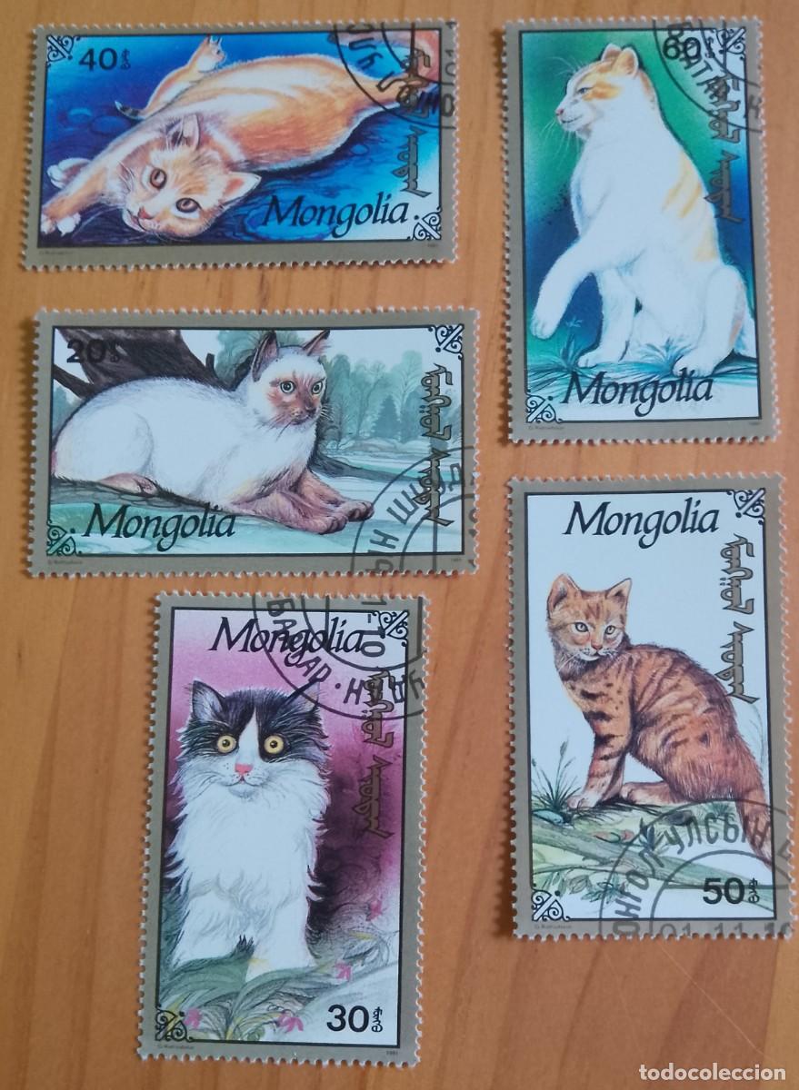 Sellos: MONGOLIA - LOTE 5 SELLOS DE GATOS, FAUNA.