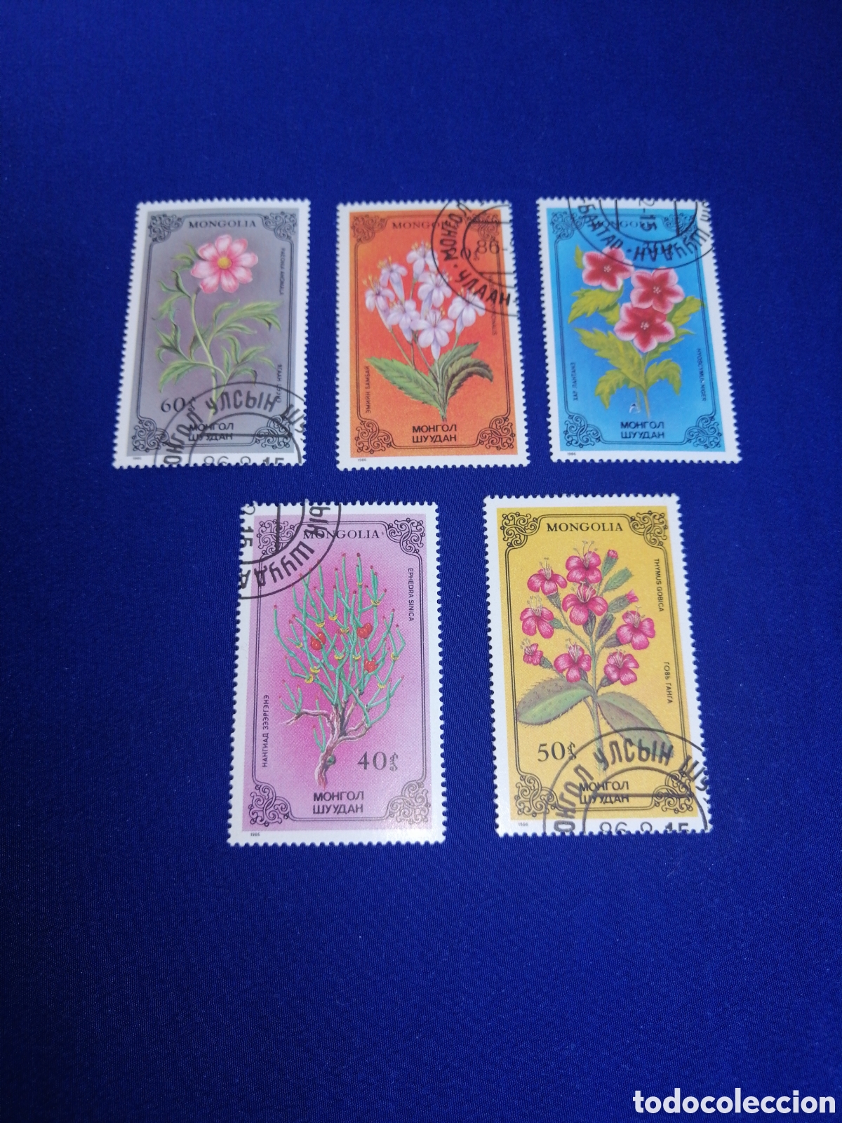 Briefmarken: MONGOLIA LOTE FLORES SELLOS USADOS MATASELLADOS