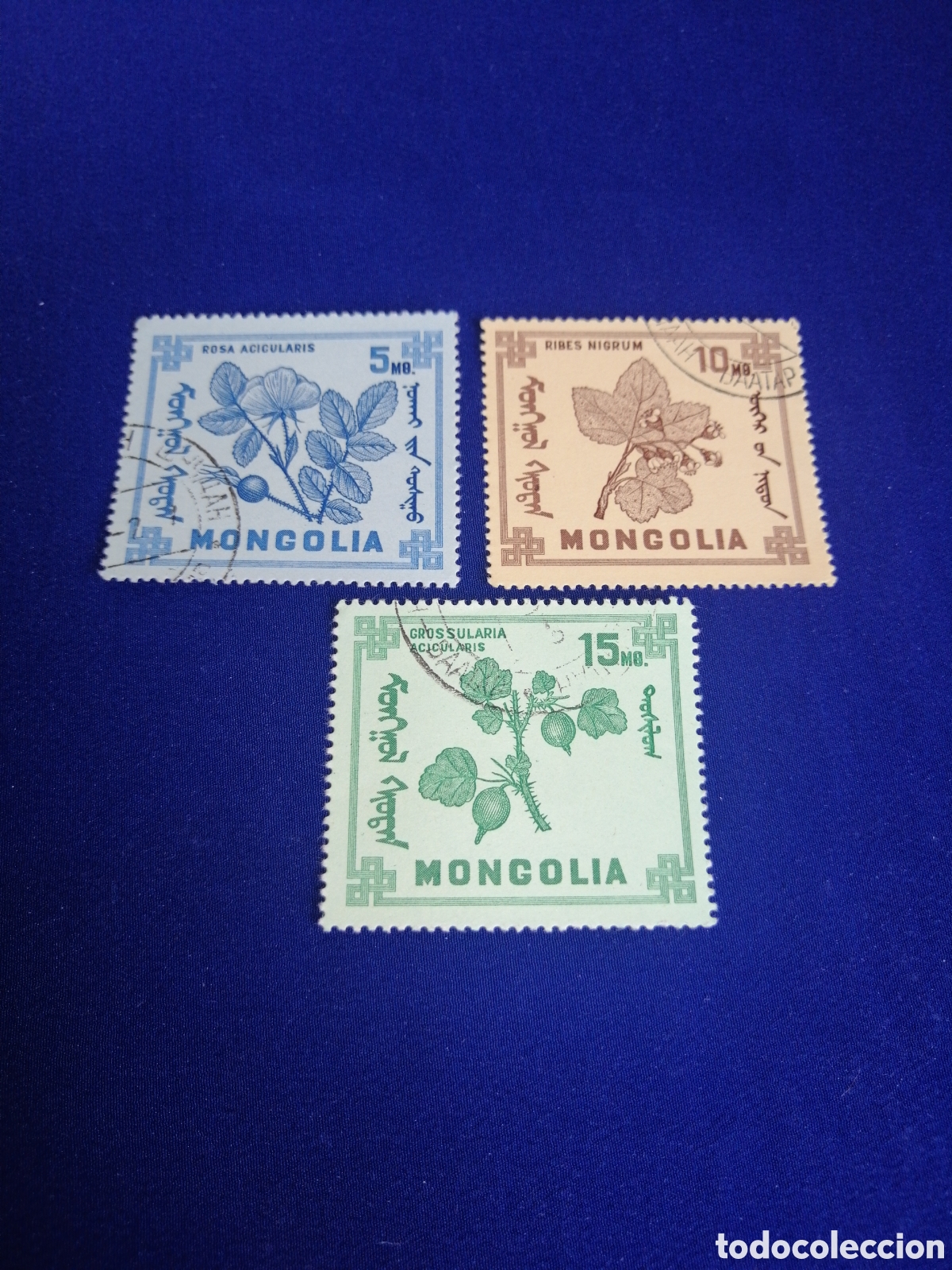 Briefmarken: MONGOLIA LOTE FLORES SELLOS USADOS MATASELLADOS