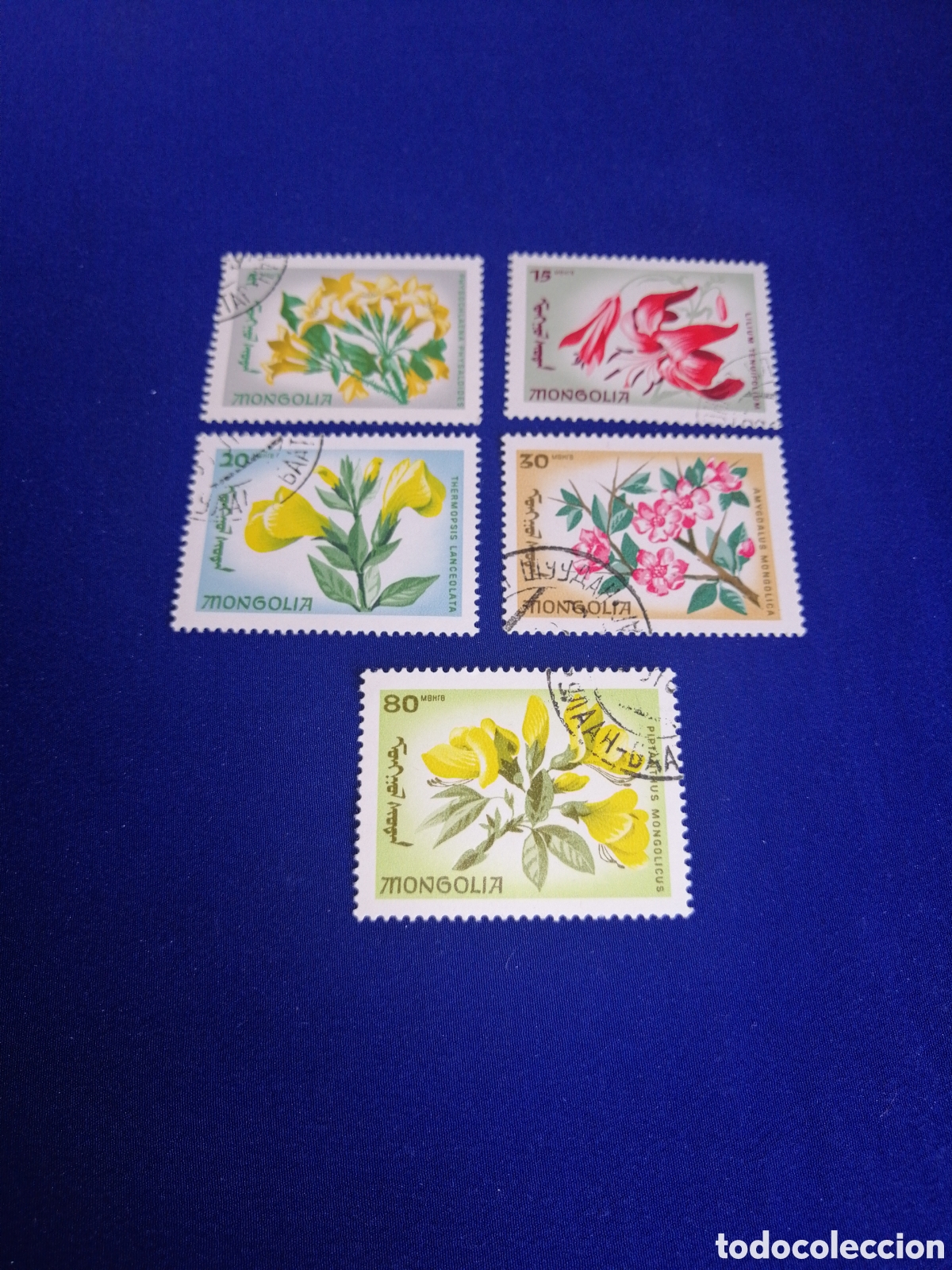 Stamps: MONGOLIA LOTE FLORES SELLOS USADOS MATASELLADOS