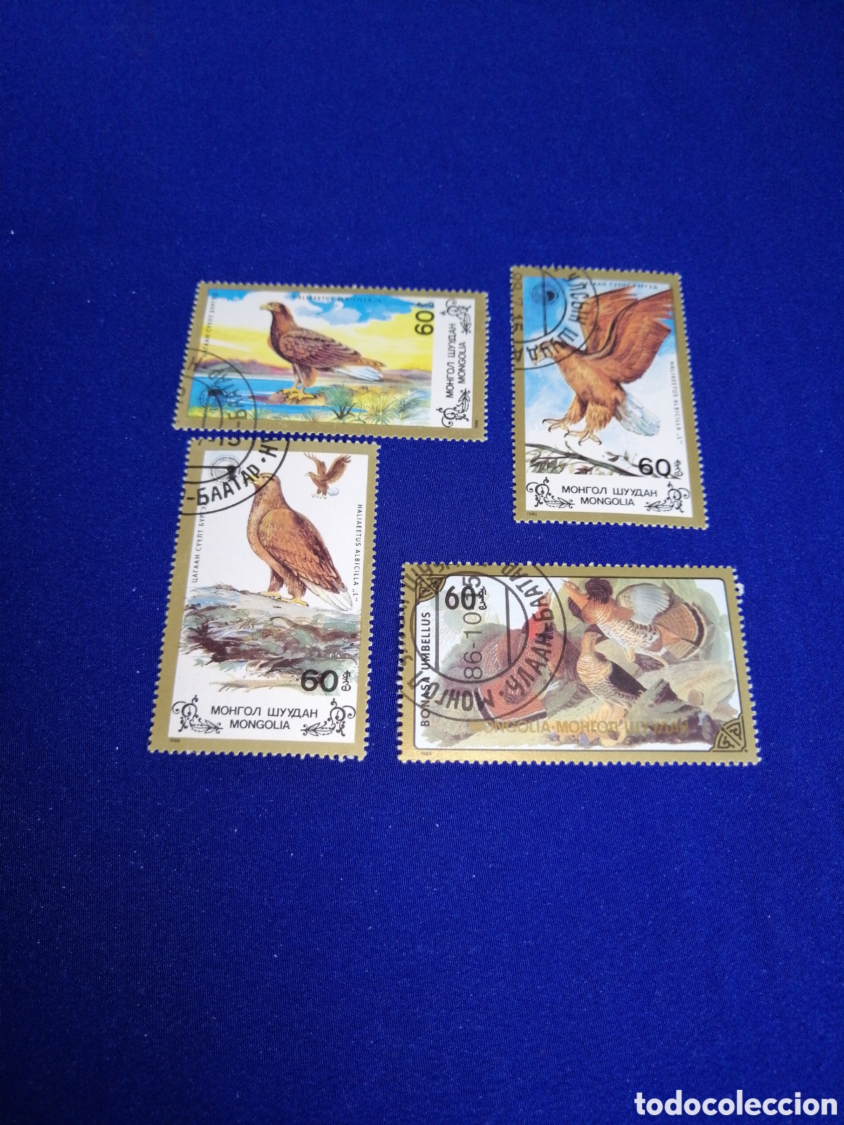 Stamps: MONGOLIA LOTE AVES SELLOS USADOS MATASELLADOS