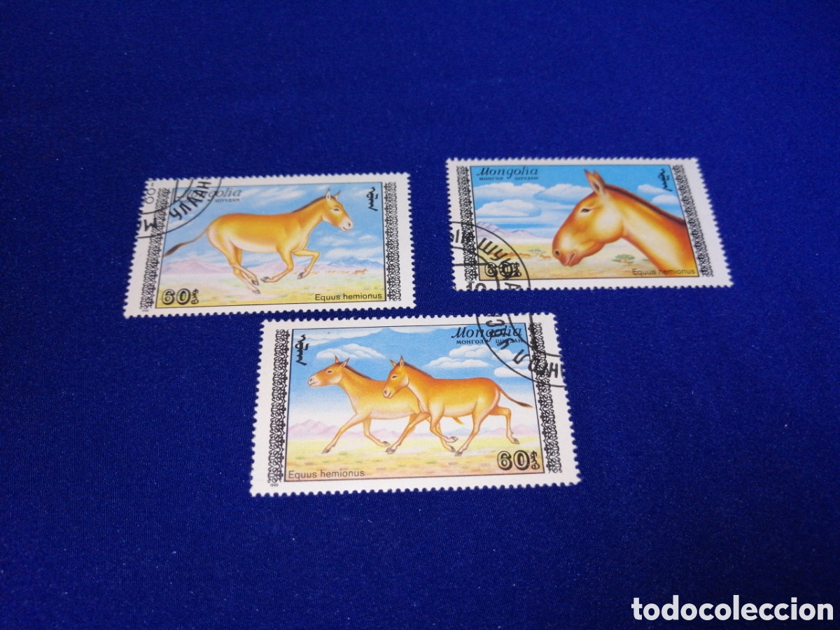 Francobolli: MONGOLIA LOTE BURROS O CABALLOS SELLOS USADOS MATASELLADOS