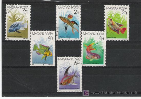 Sellos: TEMA PECES  SERIE  DE HUNGRIA - Foto 1