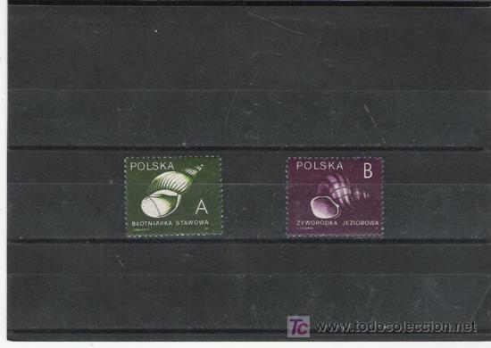 Sellos: TEMA CONCHAS SERIE MATASELLADA - Foto 1