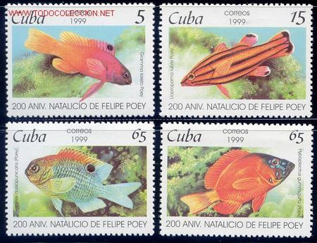 Sellos: CUBA 1999 3801/4 PECES 4v - Foto 1