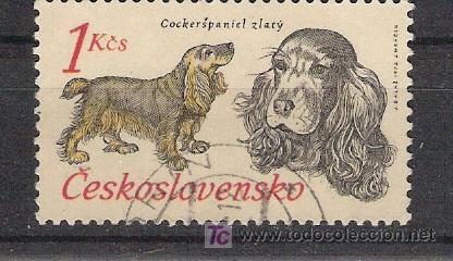 Sellos: CHECOSLOVAQUIA - Perros - Cocker - Foto 1