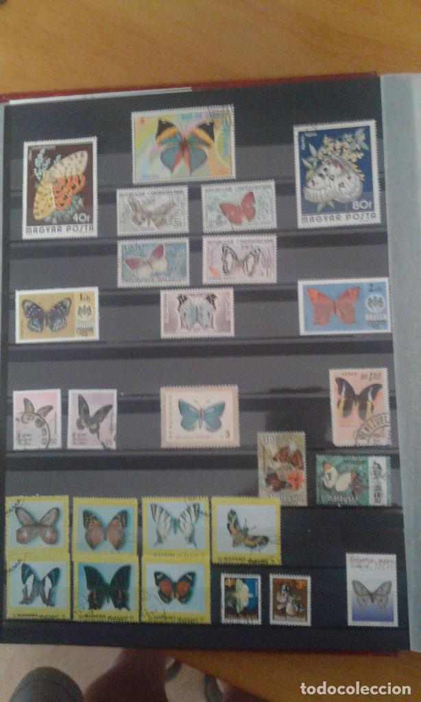 Sellos: MARIPOSAS - Foto 1