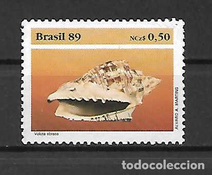 Sellos: conchas. Brasil. amis. 1989 ( - Foto 1