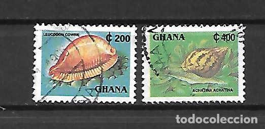 Sellos: conchas. Ghana. amis. 1996 - Foto 1