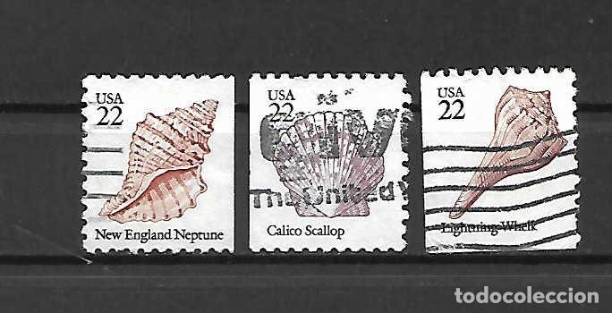 Sellos: conchas en EE.UU. - Foto 1