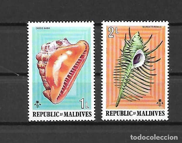 Sellos: conchas en Maldivas (islas) - Foto 1