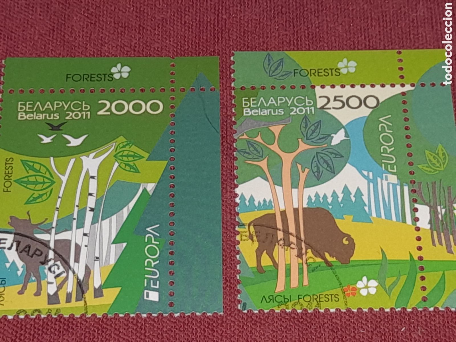 Sellos: Sello Bielorrusia mtdo 2011. Emisi&oacute;n conjunta Europa. CEPT. Bosques. Naturaleza. Fauna. Aves. B&uacute;falo