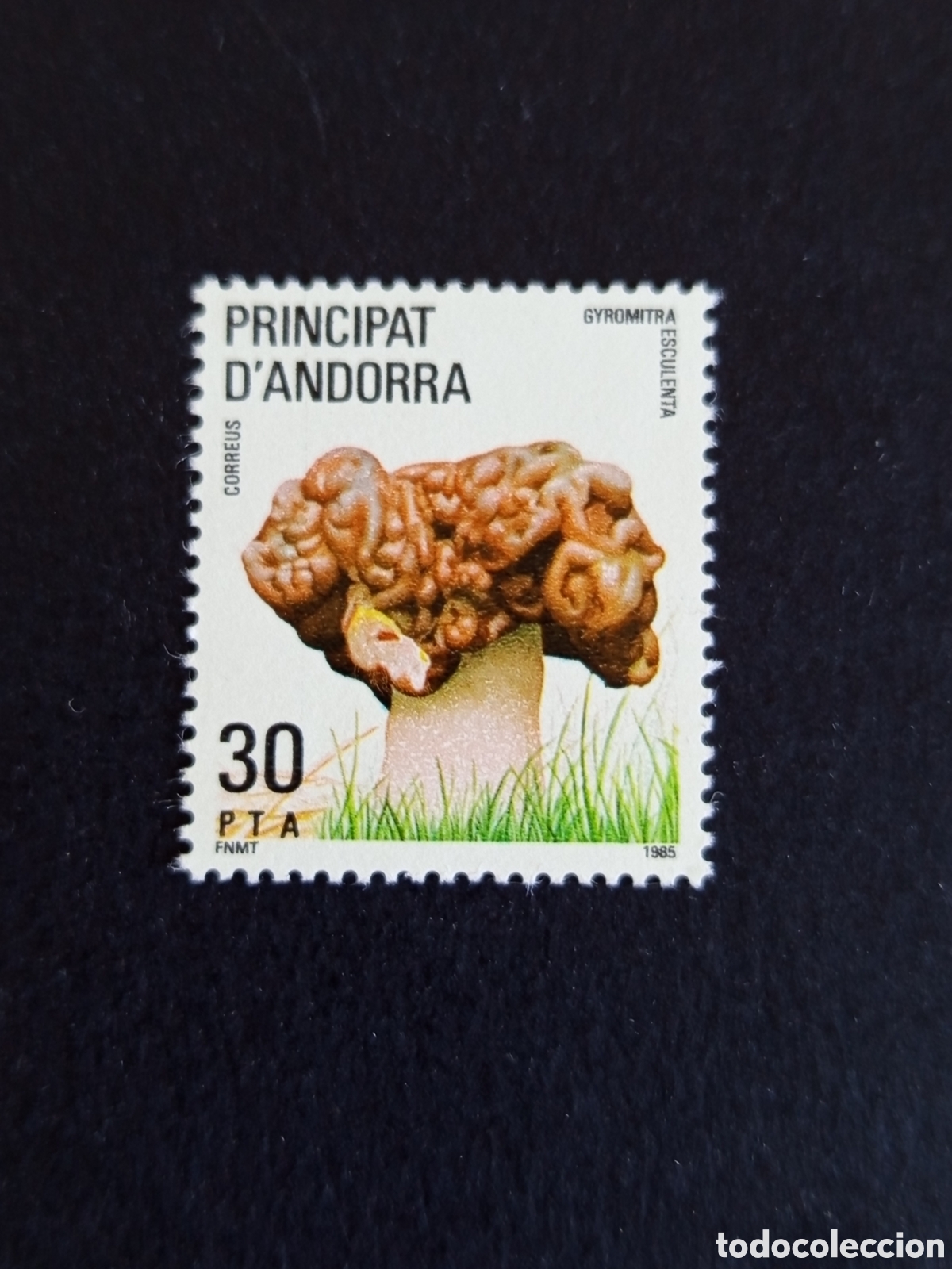 Sellos: Andorra Espa&ntilde;ola, 1985. Naturaleza : hongo bonete. Edifil 187. Serie completa. Pedido m&iacute;nimo 3 &euro;.