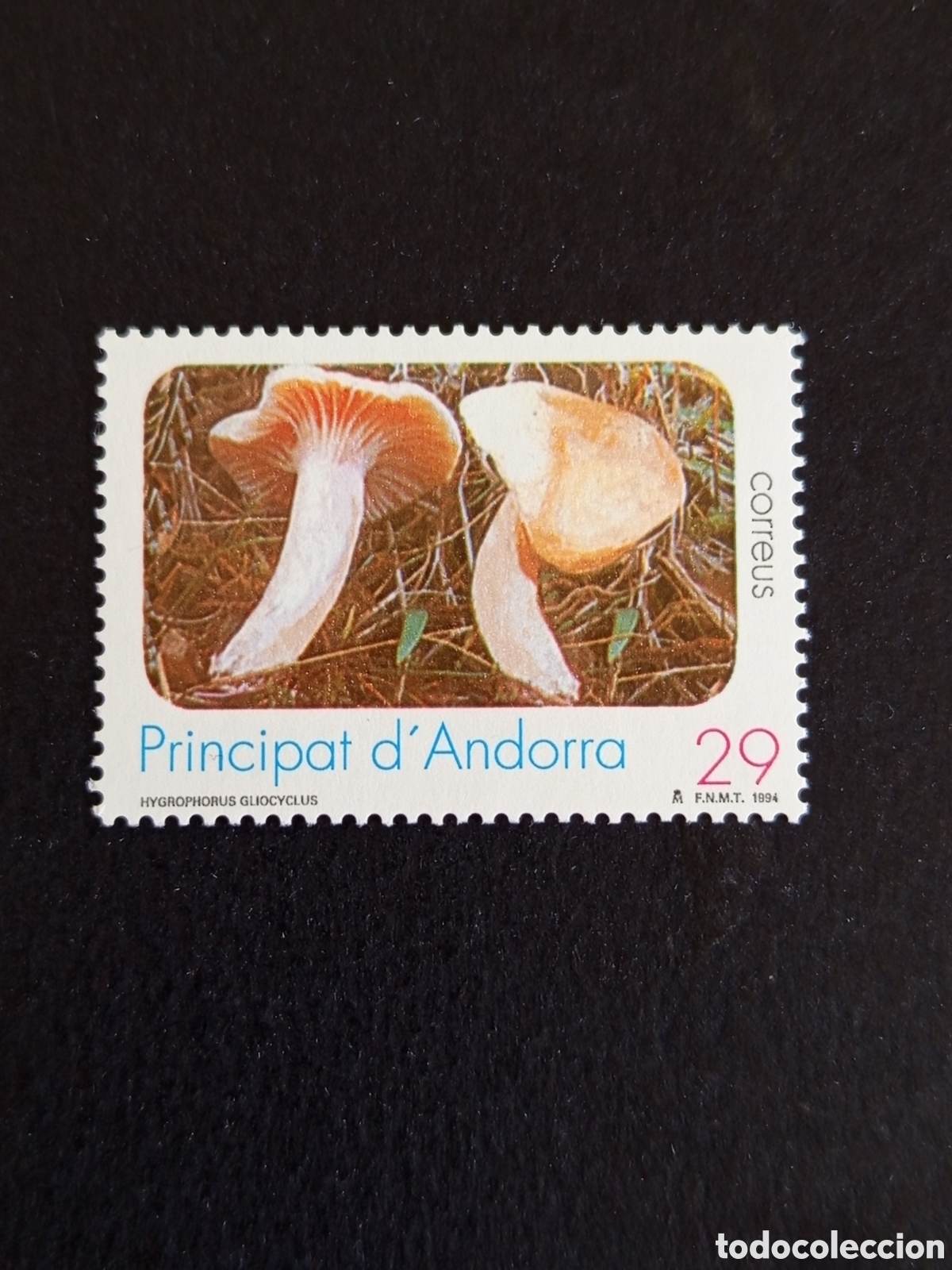 Sellos: Andorra Espa&ntilde;ola, 1994. Naturaleza: llenega blanca. Edifil 244. Serie completa. Pedido m&iacute;nimo 3 &euro;.
