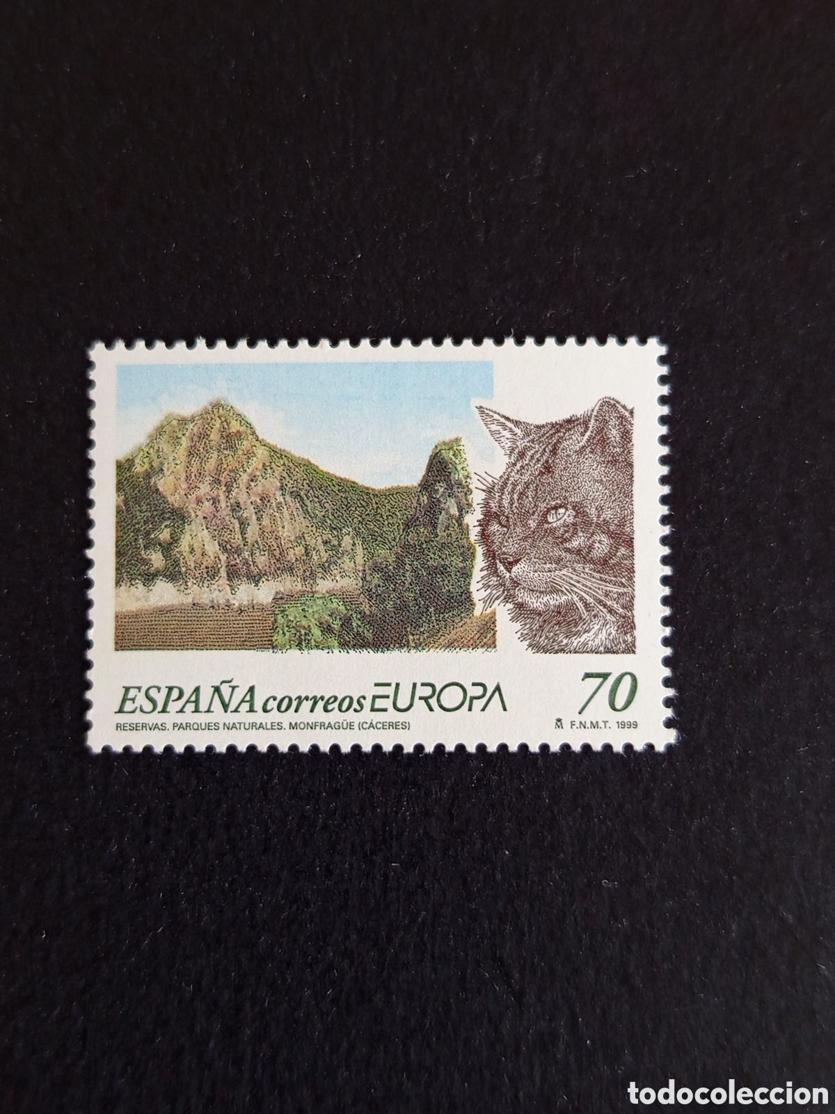 Sellos: Espa&ntilde;a, 1999. Europa . Reservas Naturales. Montfrag&uuml;e. Gato mont&eacute;s. Edifil 3628. Pedido m&iacute;nimo 3 &euro;.