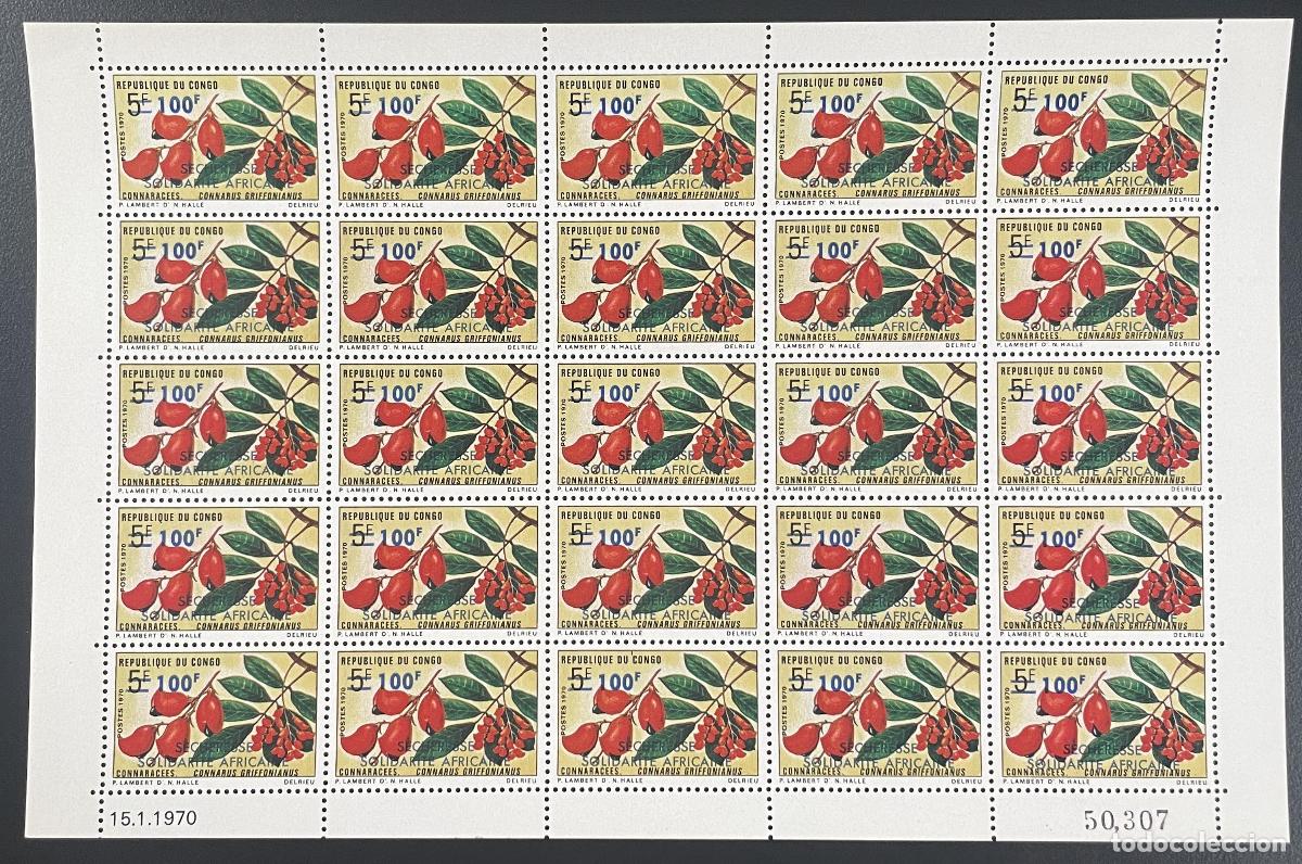 Sellos: Congo 1973 YT 338 tabl&oacute;n sobrecargado flores sequ&iacute;a solidaridad africana