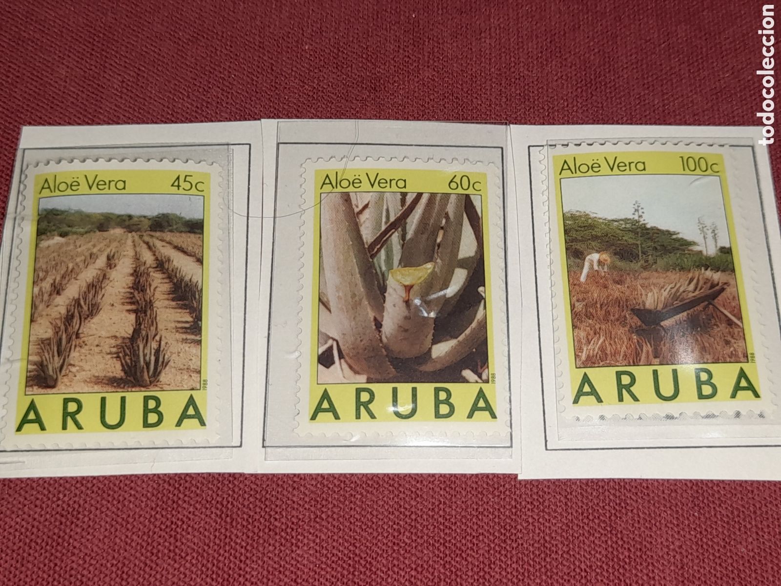 Sellos: Sello Aruba nuevo 1986. Aloe vera. Plantas. Agricultura. Campo. Flora. Naturaleza. Cultivos.