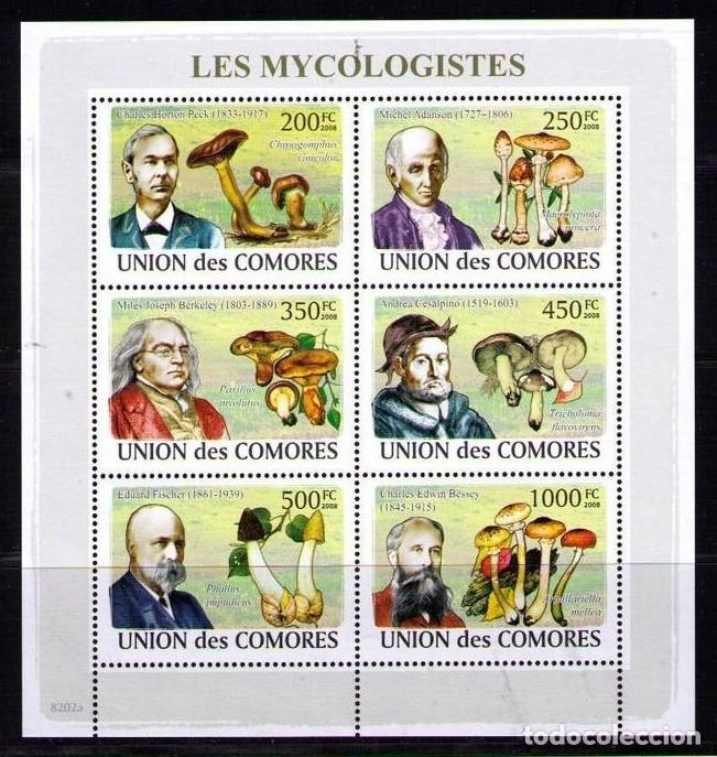 Sellos: COMORES 2008 - SETAS - CHAMPIGNONS - MUSHROOMS - PILZE - BLOCK DE 6 SELLOS
