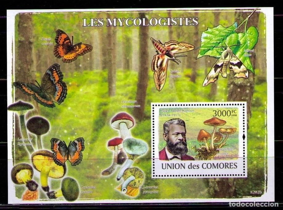 Sellos: COMORES 2008 - SETAS - CHAMPIGNONS - MUSHROOMS - BLOCK