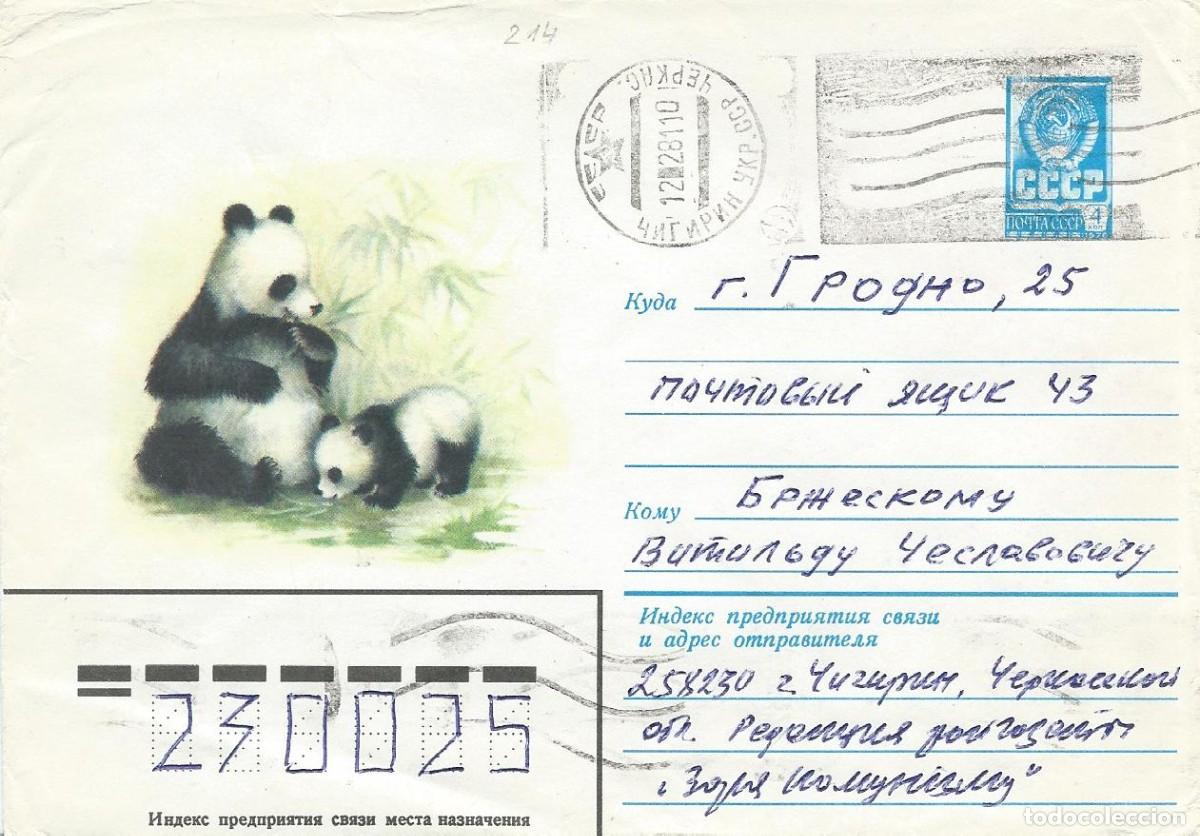 Sellos: 1981. URSS/USSR. SOBRE ENTERO POSTAL/STATIONERY. OSOS PANDA. BEARS. NATURALEZA/NATURE. FAUNA.