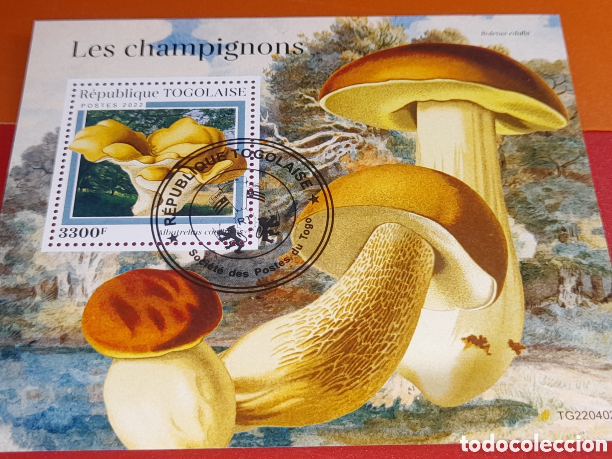 Sellos: HB Togo mtdo 2022. Hongos. Setas. Champi&ntilde;ones. Flora. Naturaleza. Descomponedores.